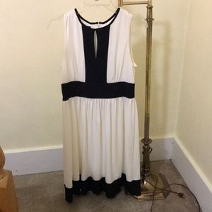 Sleeveless back zip keyhole lined light cream dress with black accents